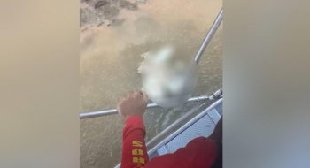 Cabeça é encontrada após homem ser devorado por jacaré no Rio Araguaia